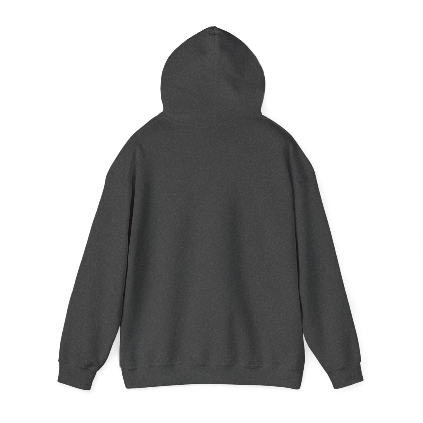 HoneyBear Cacti Hoodie