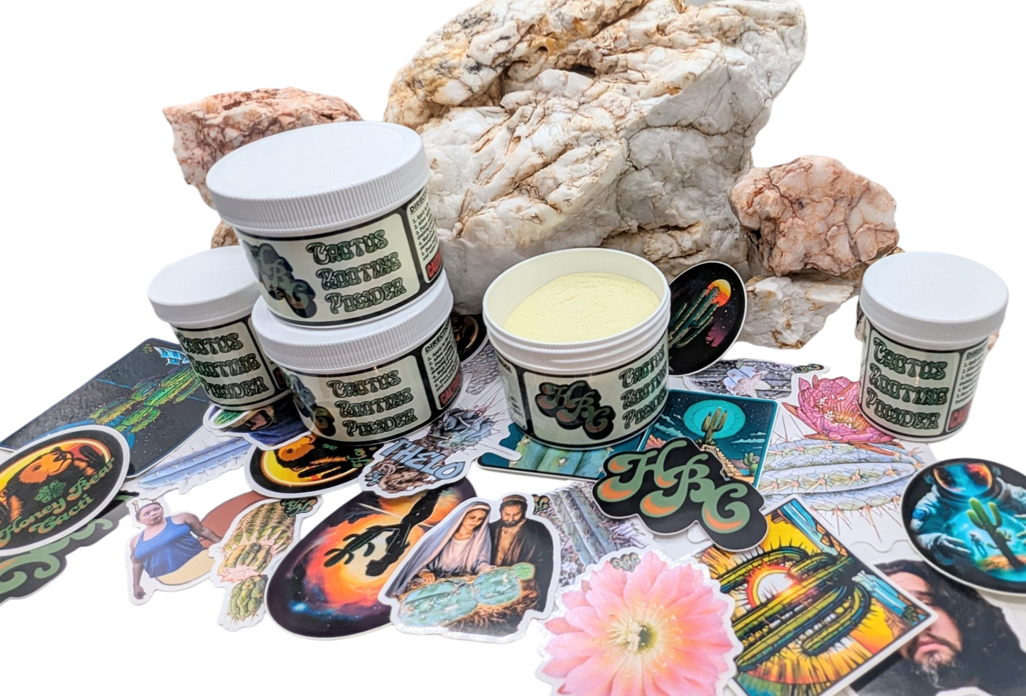 Large Cactus Mystery Box